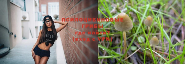а пвп мука Алексин