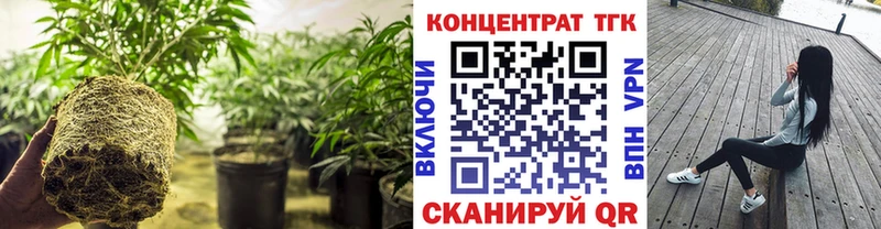 купить наркотик  Алзамай  ТГК концентрат 