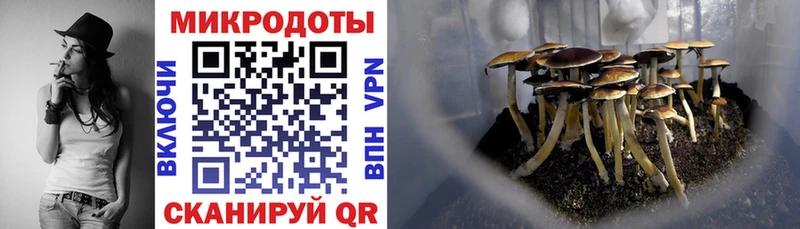 Псилоцибиновые грибы GOLDEN TEACHER  Алзамай 